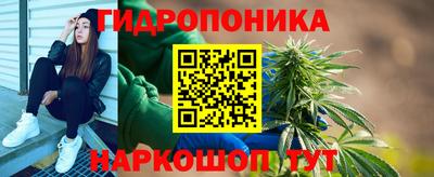 шишки Заводоуковск