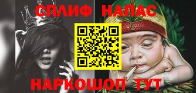 шишки Заводоуковск