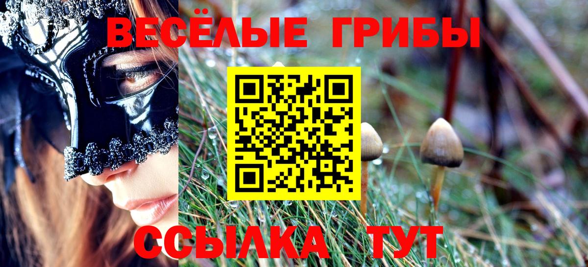 Галлюциногенные грибы GOLDEN TEACHER  где купить наркоту  Кызыл  Вход с VPN 